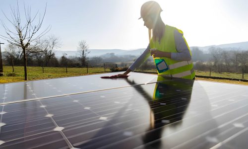 steptodown.com255266