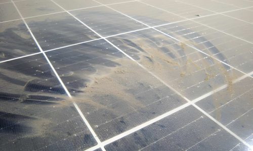 steptodown.com437437