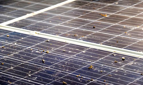 steptodown.com501243