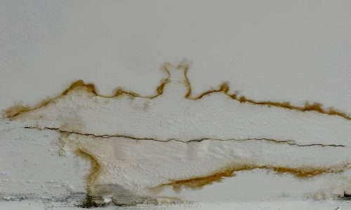 steptodown.com562770